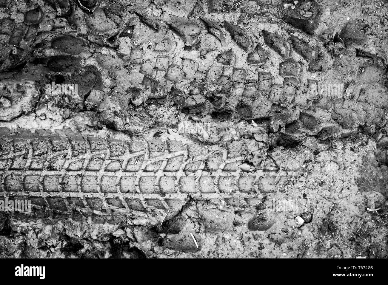 Close-up foto del pneumatico di una bicicletta, Tyre Stampa dell'umore. Foto Stock