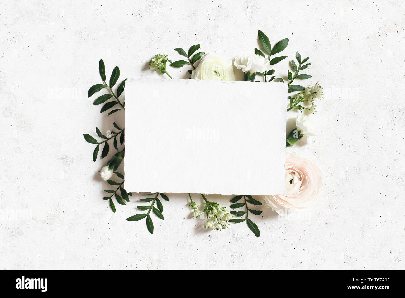 Nozze femminile, compleanno mock-up. Carta bianca biglietto di auguri. Cornice floreale di bianco, rosa ranuncoli, garofano e astrantia fiori, foglie di lentisco Foto Stock