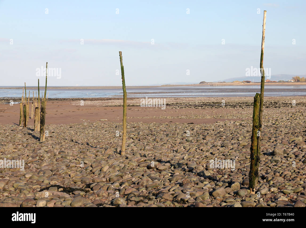 Aringa gioco posti netti Minehead Somerset Foto Stock