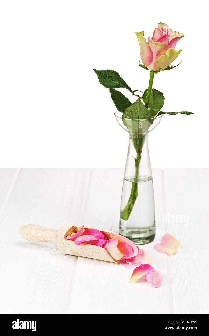 Le rose rosa con petali su sfondo di legno. Foto Stock