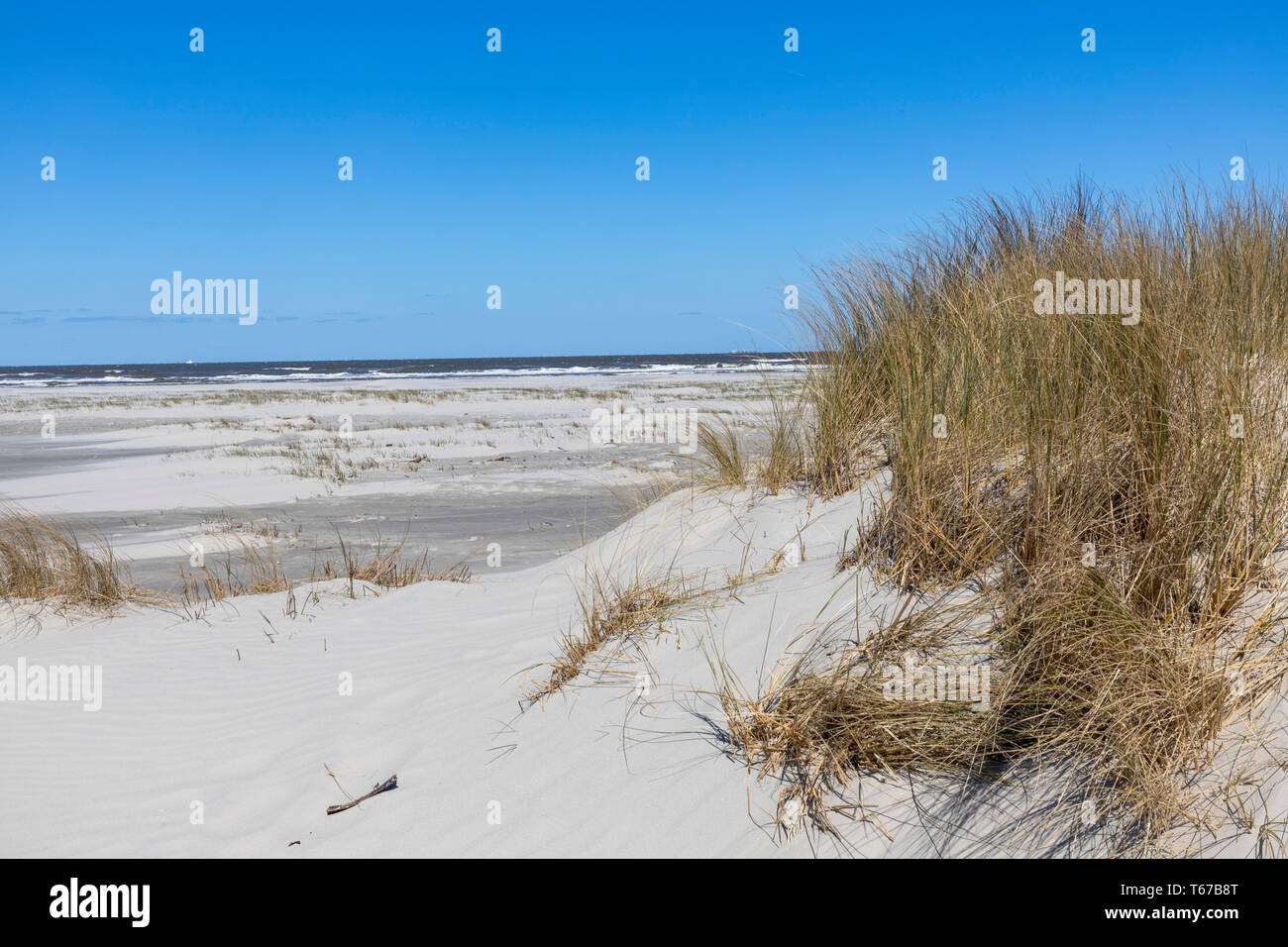 Isola del Mare del Nord di Juist, Frisia orientale, la spiaggia e il paesaggio di dune, all'estremità orientale dell'isola, Kalfamer protezione della natura area, Bassa Sassonia, Ger Foto Stock