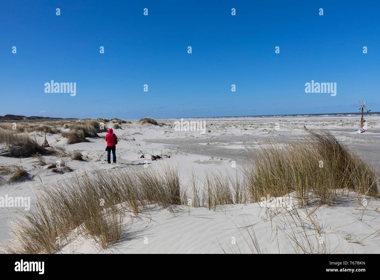 Isola del Mare del Nord di Juist, Frisia orientale, la spiaggia e il paesaggio di dune, all'estremità orientale dell'isola, Kalfamer protezione della natura area, Bassa Sassonia, Ger Foto Stock