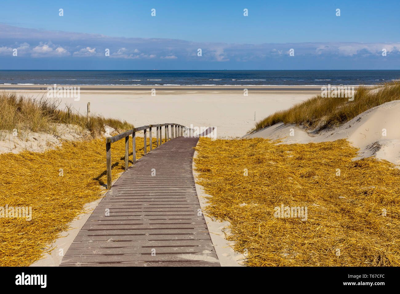 Isola del Mare del Nord Juist, Frisia orientale, passerella in legno per la spiaggia, Bassa Sassonia, Germania, Foto Stock