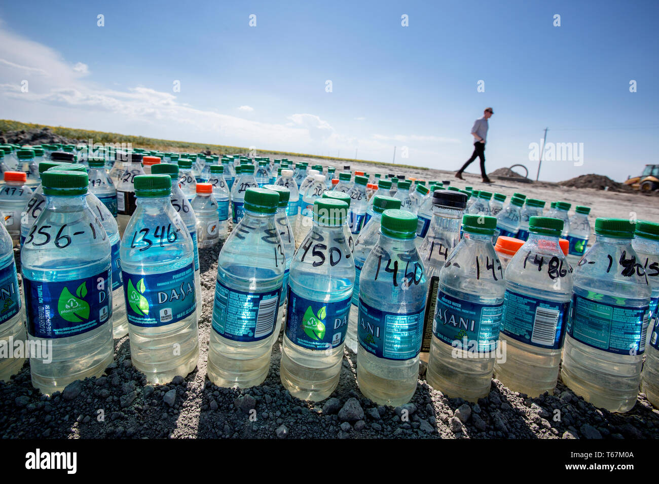 Bottiglie di acqua di campioni in un campo di fattoria in Pixley. Pur richiedendo molta acqua e livellati i campi agricoli e di moderni sistemi di irrigazione limitare gli sprechi. In generale, la coltivazione di ortaggi richiede solo una frazione di acqua che è necessaria per l'allevamento. Foto Stock Bottiglie di acqua di campioni in un campo di fattoria in Pixley. Pur richiedendo molta acqua e livellati i campi agricoli e di moderni sistemi di irrigazione limitare gli sprechi. In generale, la coltivazione di ortaggi richiede solo una frazione di acqua che è necessaria per l'allevamento. Foto Stock