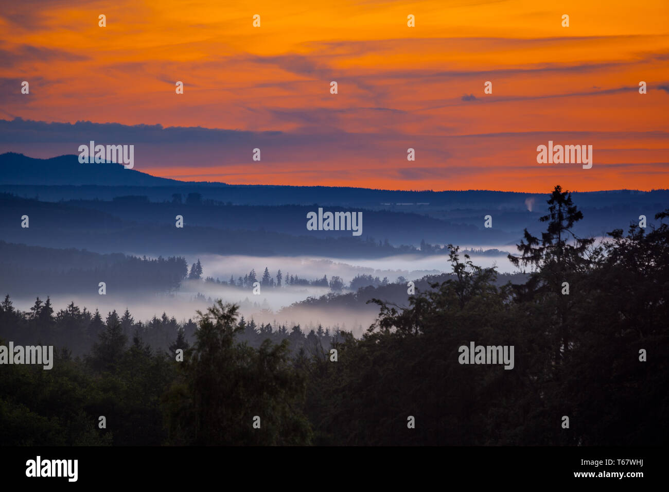 Cielo di sera nella catena montuosa di Harz, Germania Foto Stock