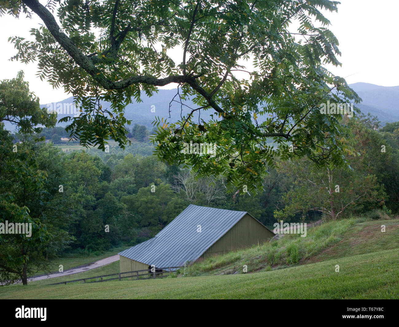 Estate, Outer Banks, North Carolina, Virginia Foto Stock