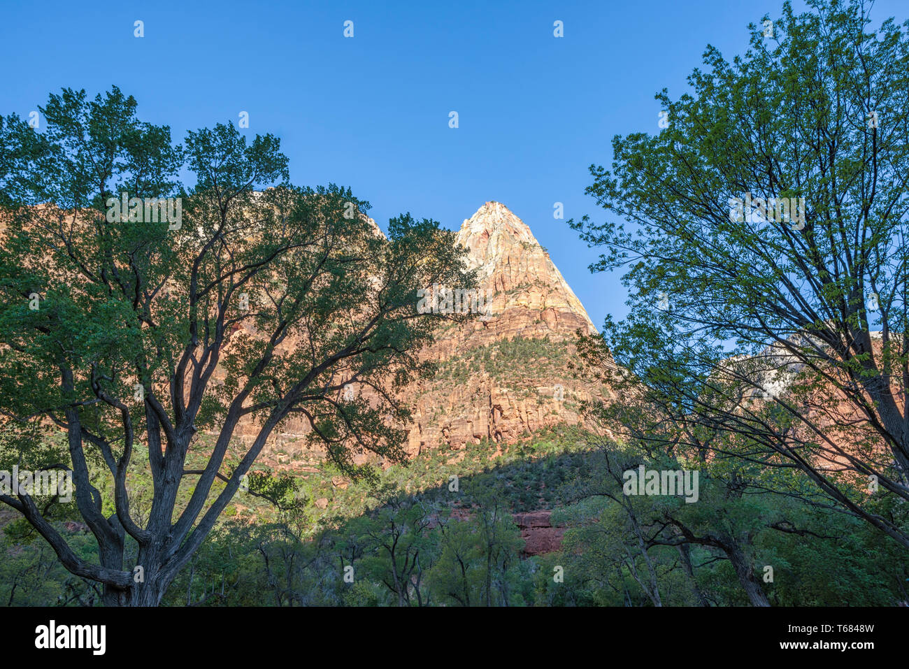 Vista delle formazioni rocciose dalla parte anteriore del Sion Lodge. Parco Nazionale di Zion, Utah, Stati Uniti d'America. Foto Stock