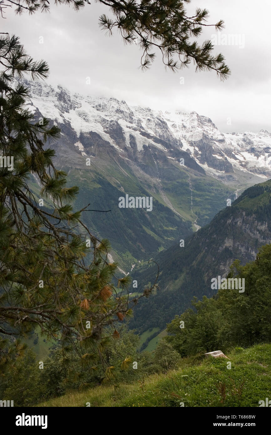 La spettacolare alta valle di Lauterbrunnen, con la parete di Lauterbrunnen bloccando la testata della valle, Oberland bernese, Svizzera Foto Stock