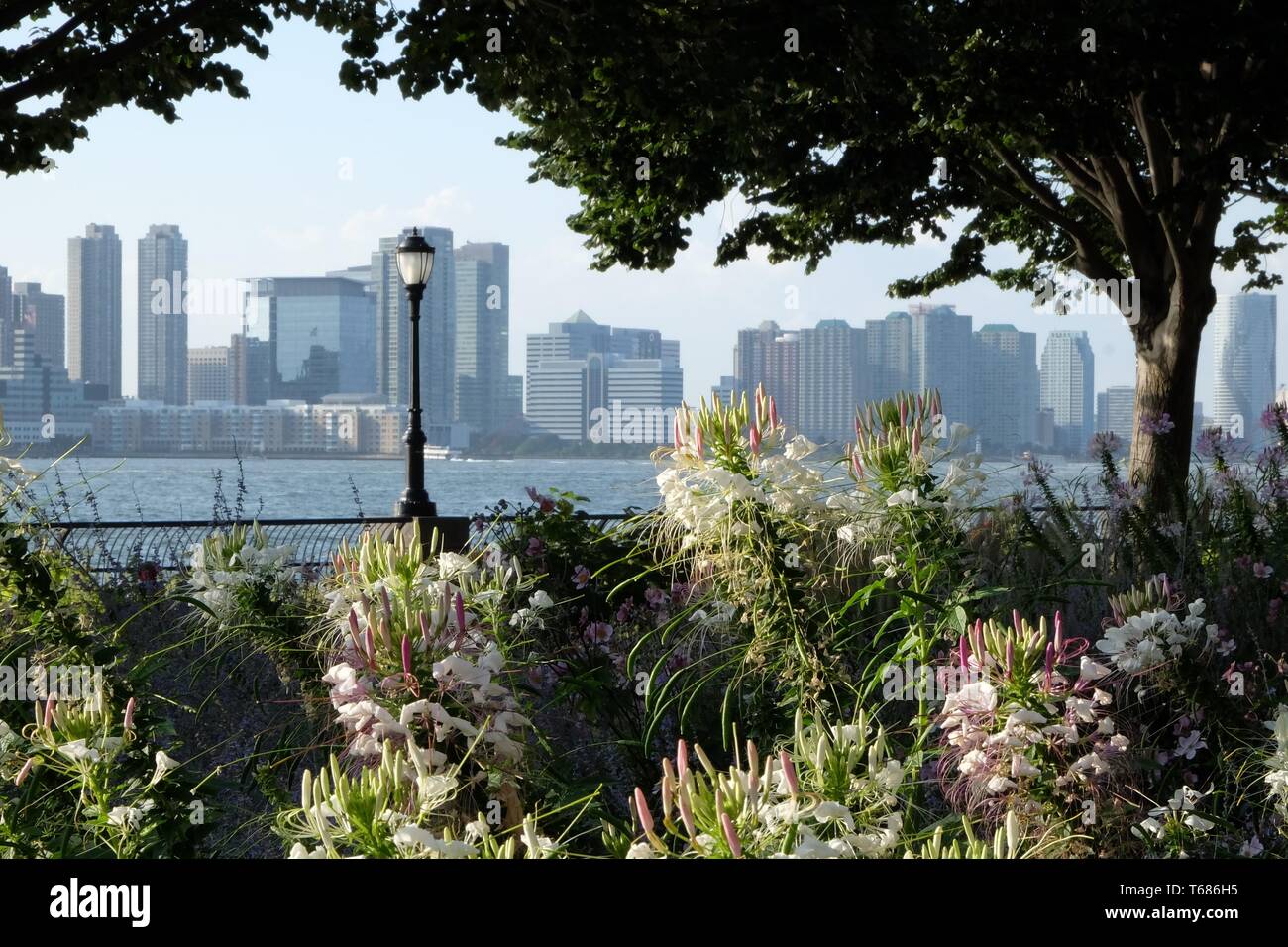 Una foto del parco della batteria nella parte inferiore di Manhattan, New York Foto Stock