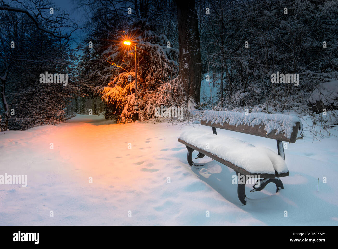 Una panchina nel parco è coperto di neve circondato da alberi e il bagliore arancione di un lampione nelle prime ore del mattino la luce blu Foto Stock