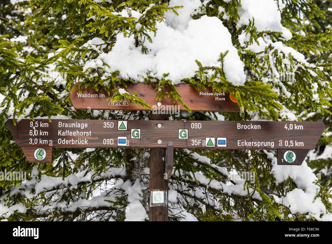 Inverno nel Parco Nazionale di Harz, Germania Foto Stock