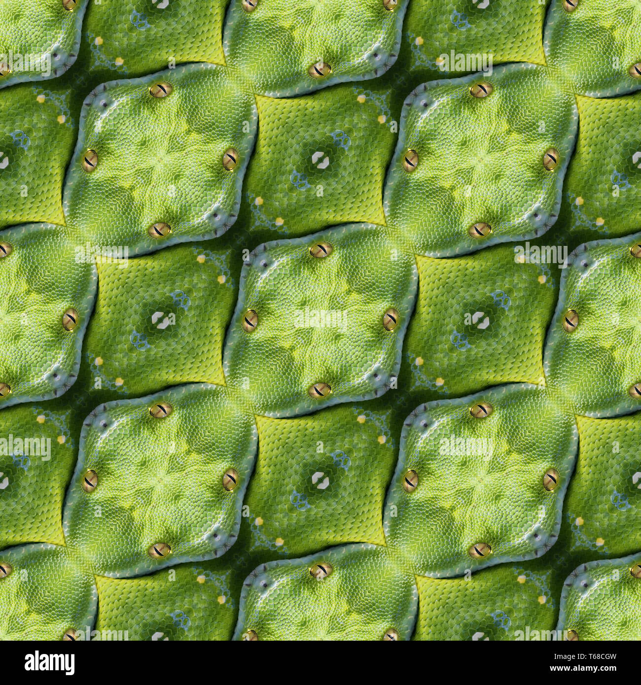 Rettile la texture della pelle Foto Stock