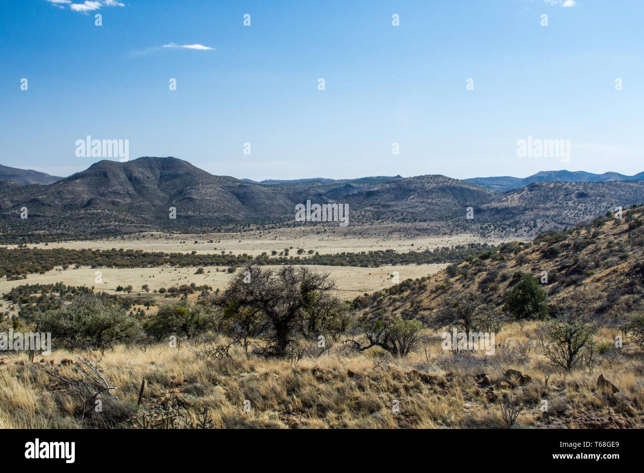 Una si affacciano in Fort Davis Texas Foto Stock