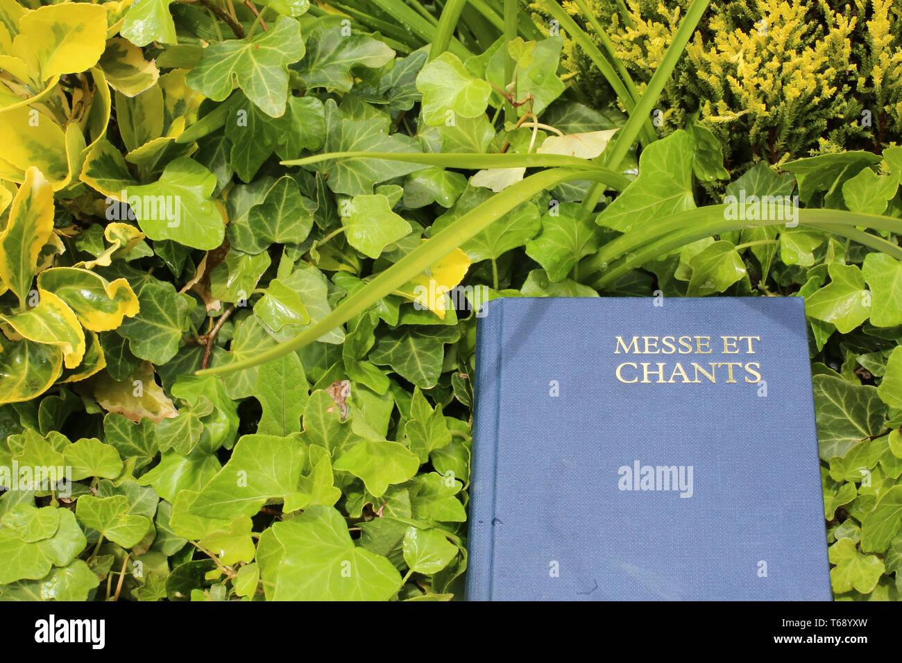 Livre de messe et chants dans des plantes vertes. Foto Stock
