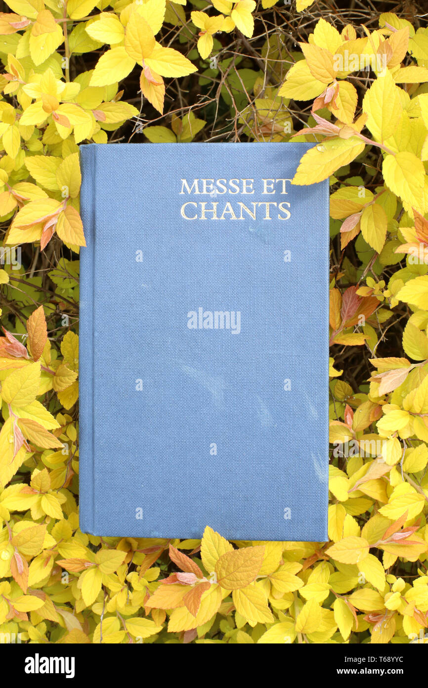 Livre de messe et chants dans des plantes jaunes. Foto Stock