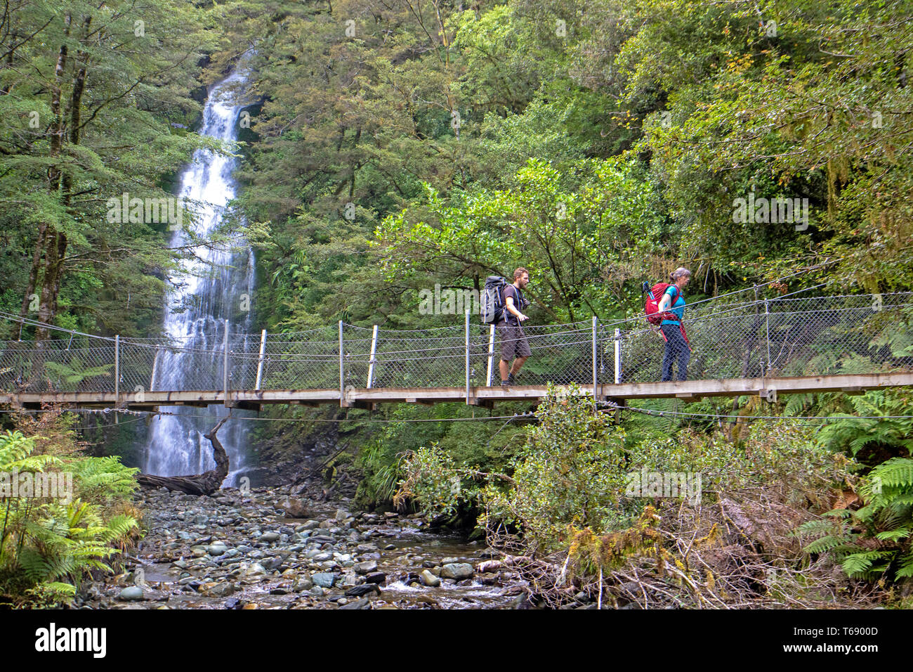 Gli escursionisti passando poco Homer cade sul Hollyford via Foto Stock