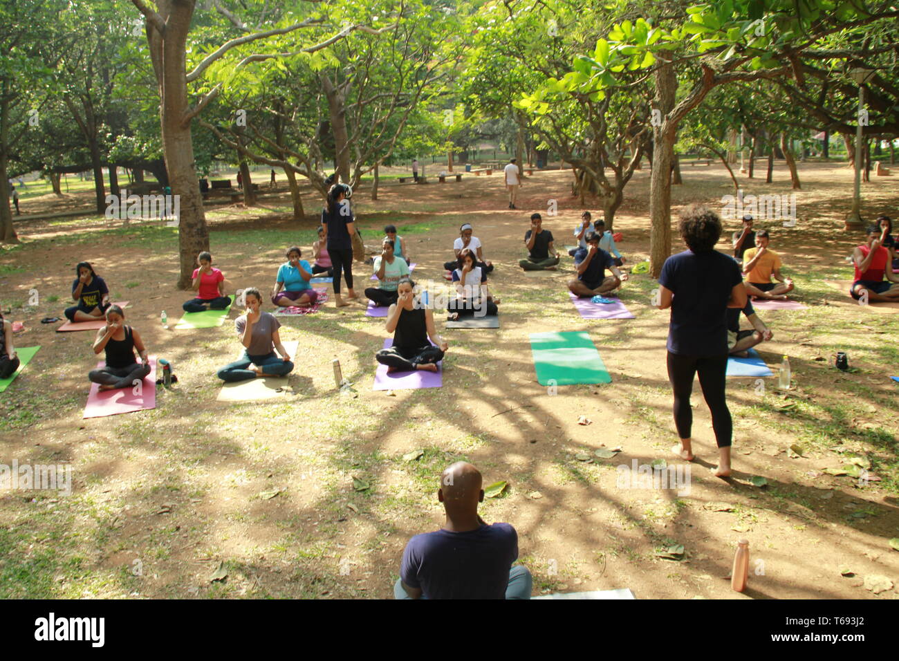 I giovani indiani fare yoga in Cubbon Park, Bangalore, India Foto Stock