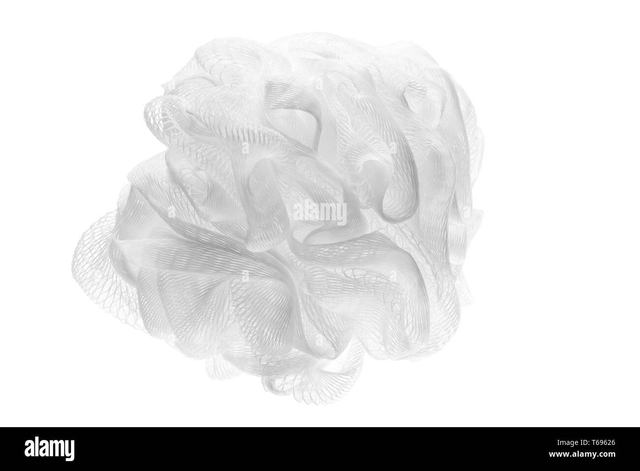 Scrubber corpo isolato su sfondo bianco Foto Stock