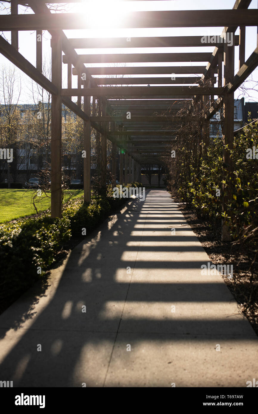 Luci e ombre su una pergola dietro l'Indianapolis Arts Center in una giornata primaverile ad Indianapolis, Indiana, USA. Foto Stock