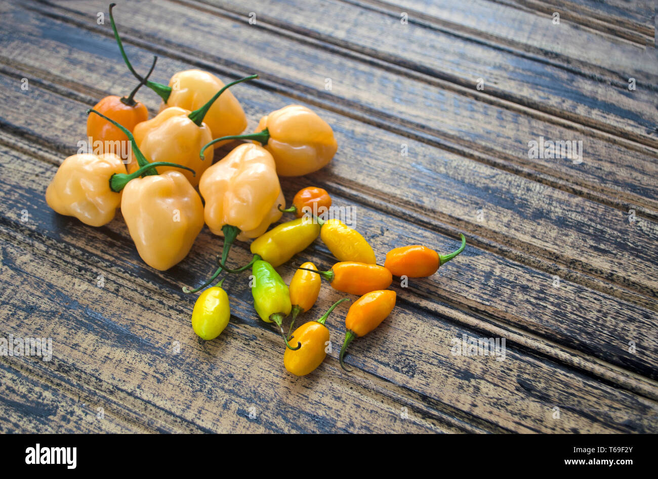 Colori e aromi di peperone Foto Stock