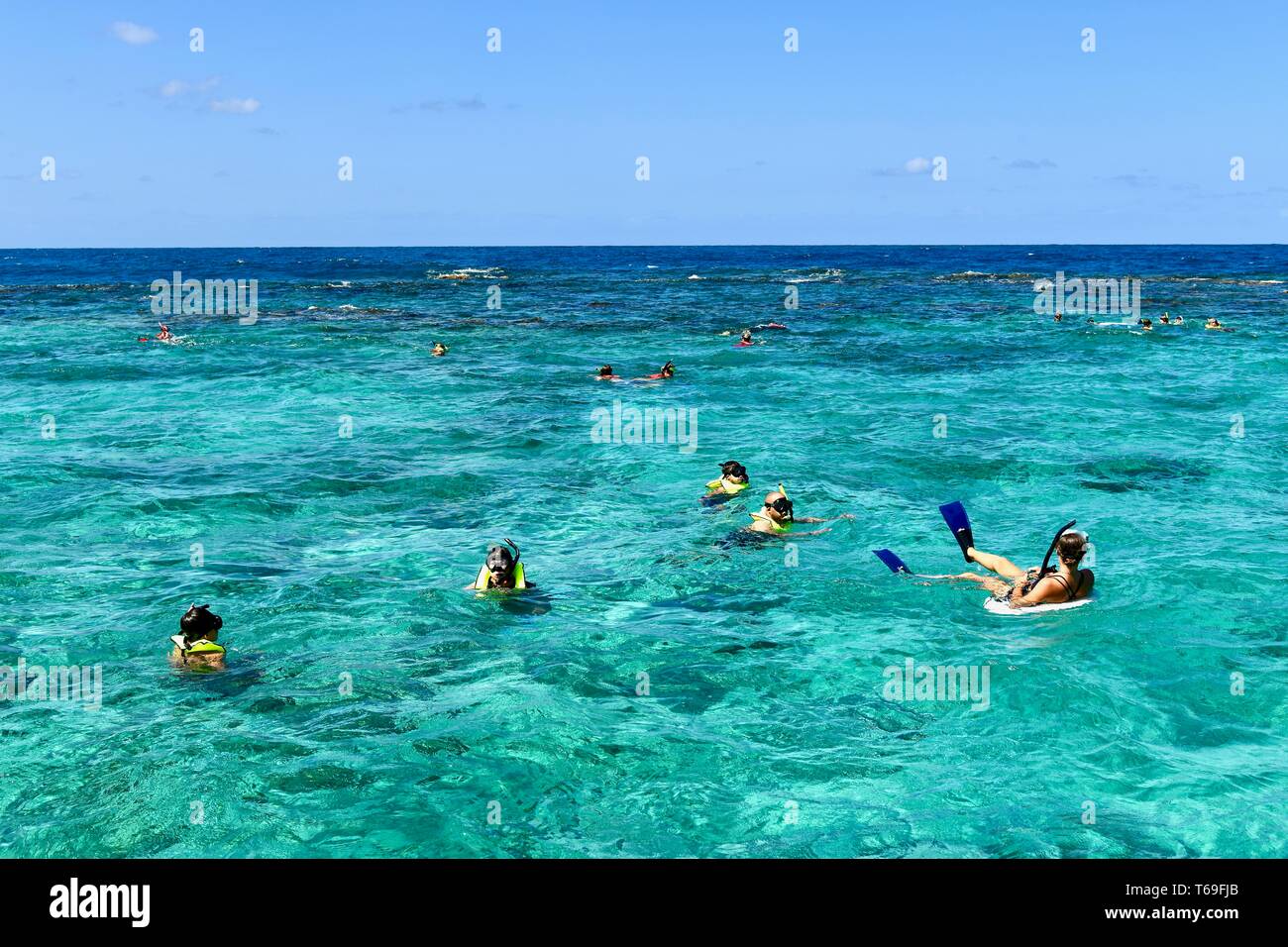 Isola di Buck avventura snorkeling, St. Croix, USVI Foto Stock