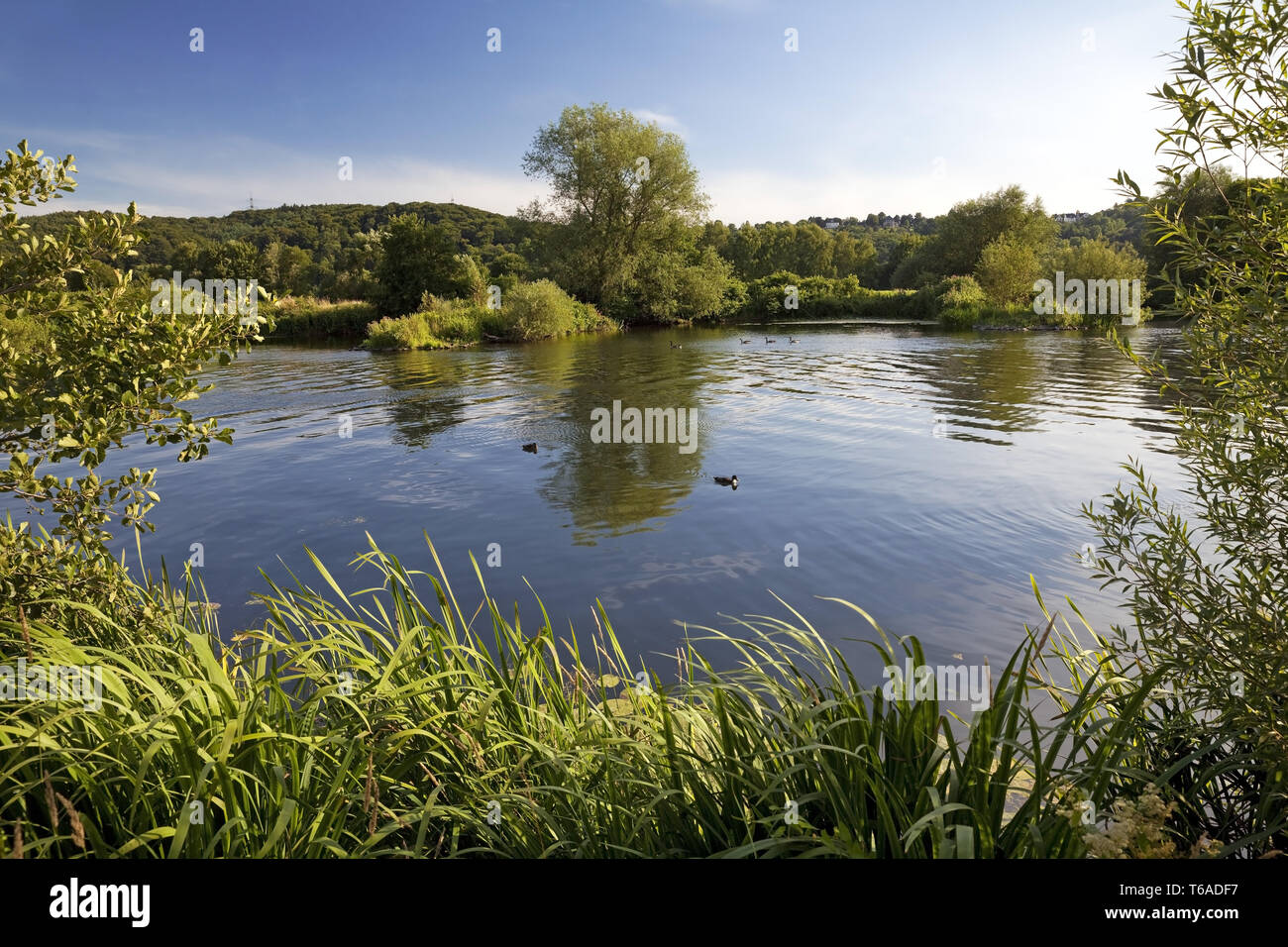 Fiume Ruhr di Bochum, in Germania, in Renania settentrionale-Vestfalia, la zona della Ruhr, Bochum Foto Stock