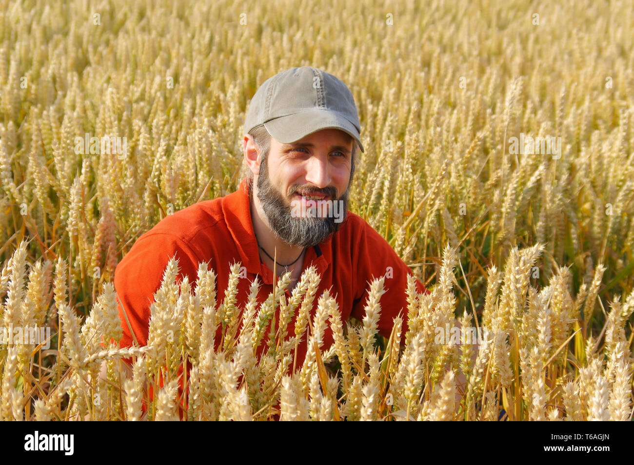 Uomo Barbuto seduto in un campo di grano sulla giornata di sole Foto Stock
