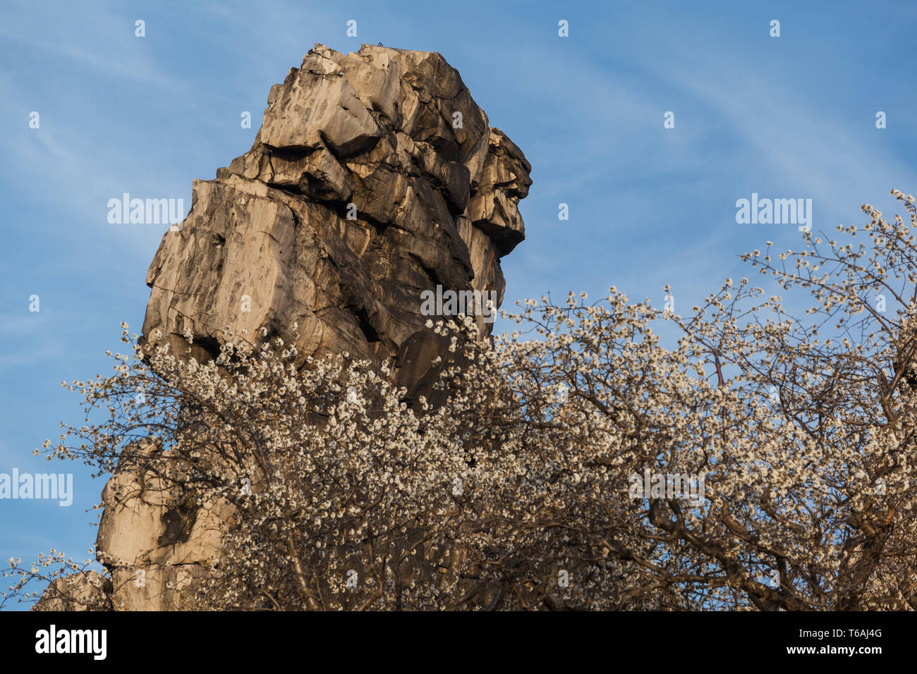 Formazione di roccia Teufelsmauer, Montagne Harz, Germania Foto Stock