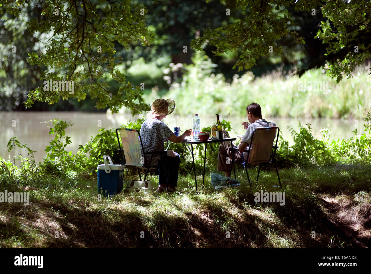 Pic-nic: matura da un laghetto, sotto l'ombra di un albero. Tavolo da picnic e sedia.Caption locale *** Foto Stock