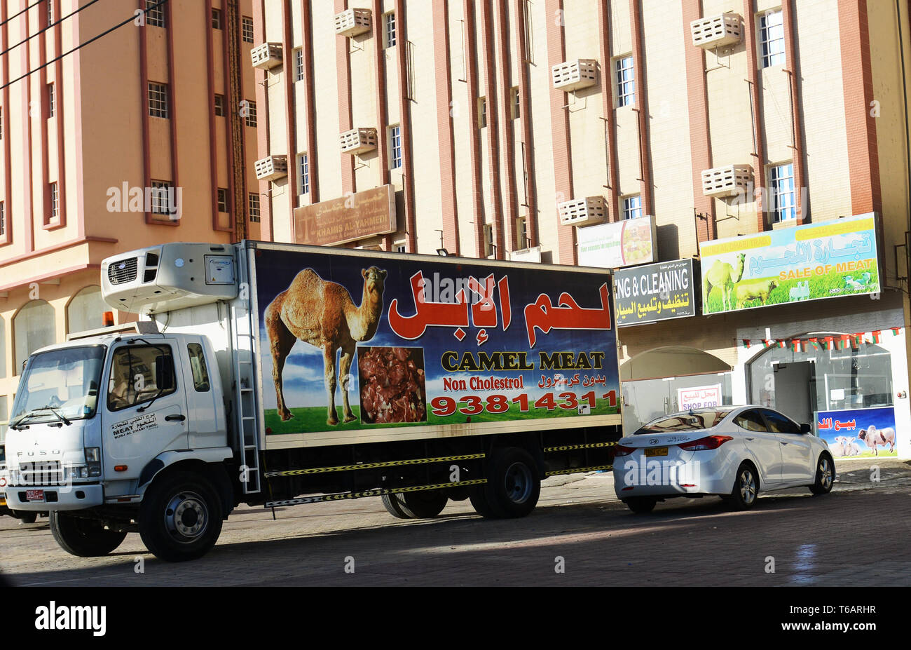 Un cammello carrello carne di erogazione di carne di cammello per un negozio locale di Barka, Oman. Foto Stock