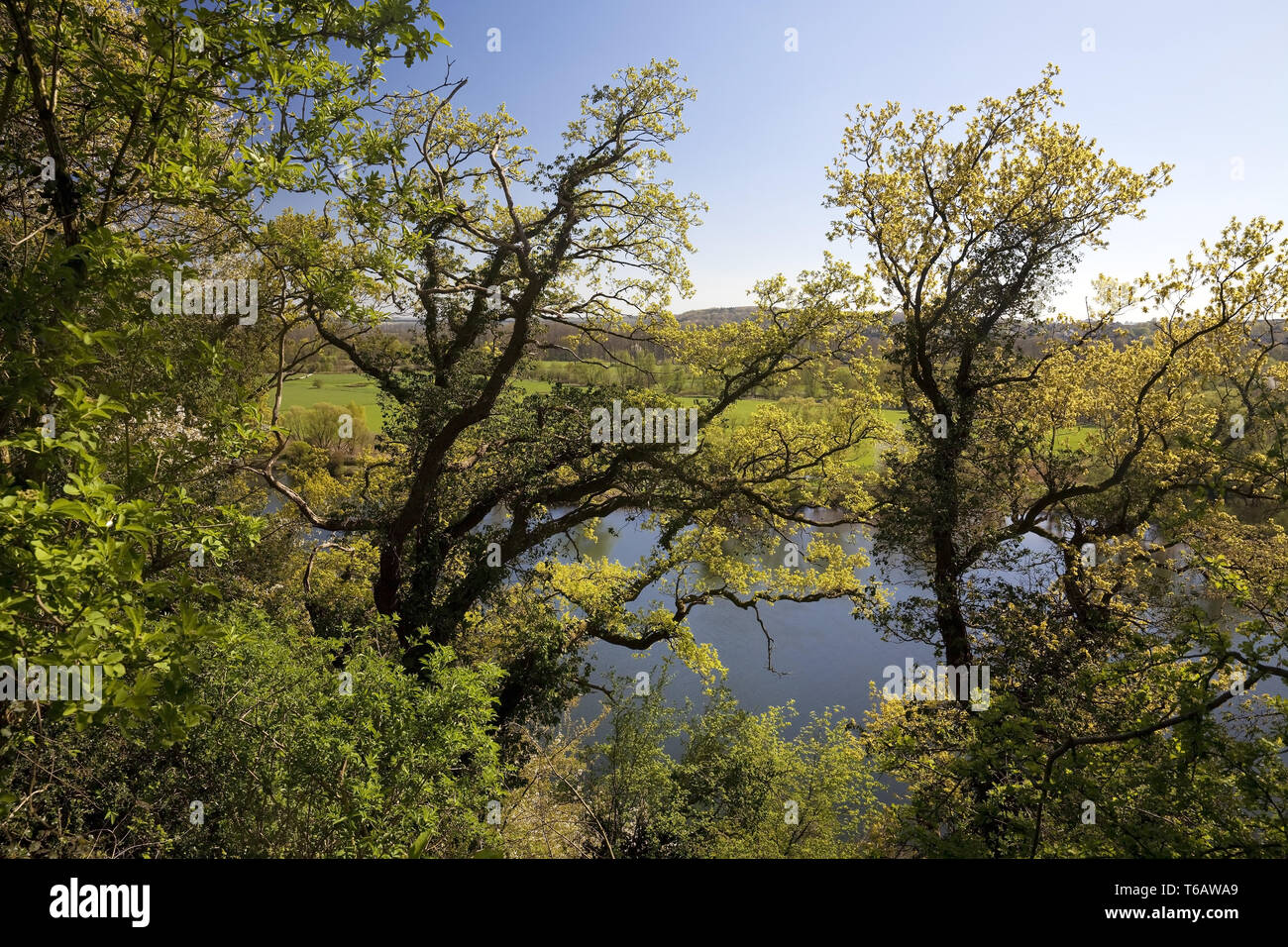 Vista sul fiume Ruhr, Muelheim an der Ruhr, zona della Ruhr, Nord Reno-Westfalia, Germania Foto Stock