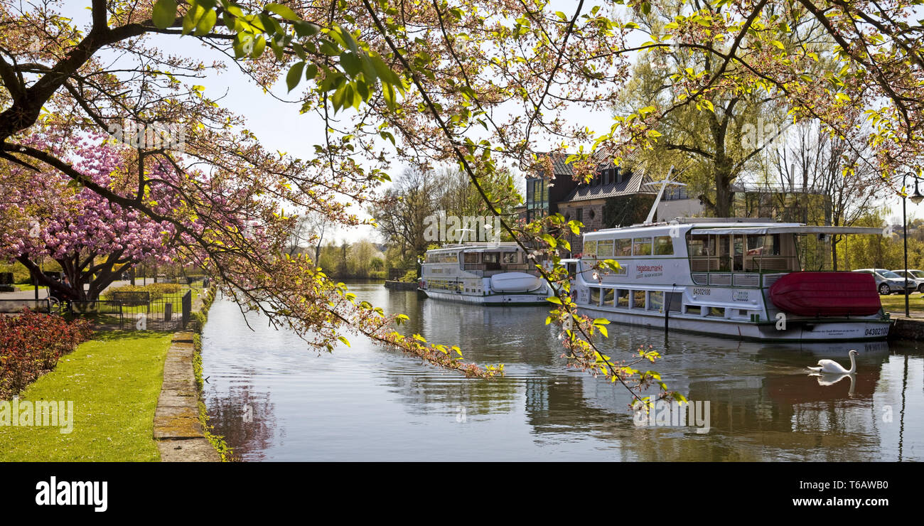 Escursione di due imbarcazioni della flotta di bianco in Muelheim an der Ruhr, Renania settentrionale-Vestfalia, Germania Foto Stock
