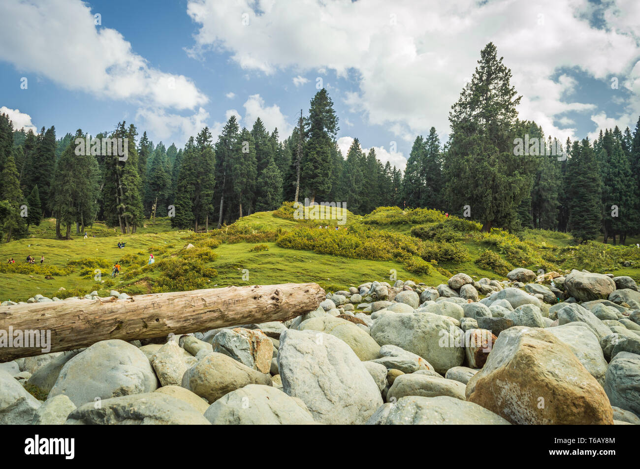 Un vasto campo di massi rotondi di un letto del fiume in un paesaggio in Doodhpathri, Kashmir. Un tronco di legno lumbered. Foto Stock