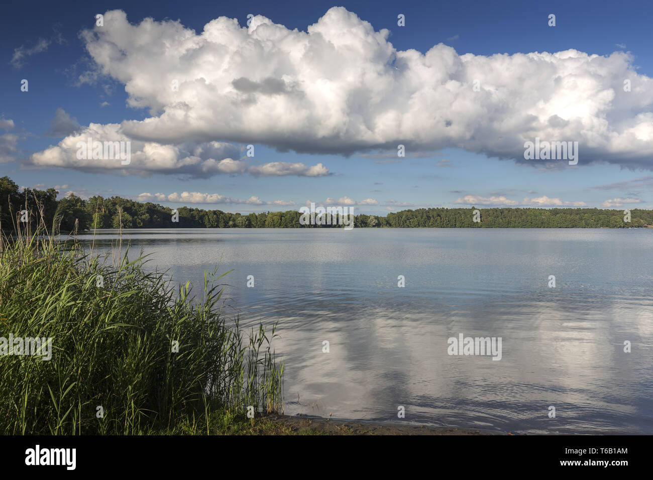 Bel paesaggio di Uckermark, una regione nel nord-est della Germania, il Land Brandeburgo Foto Stock