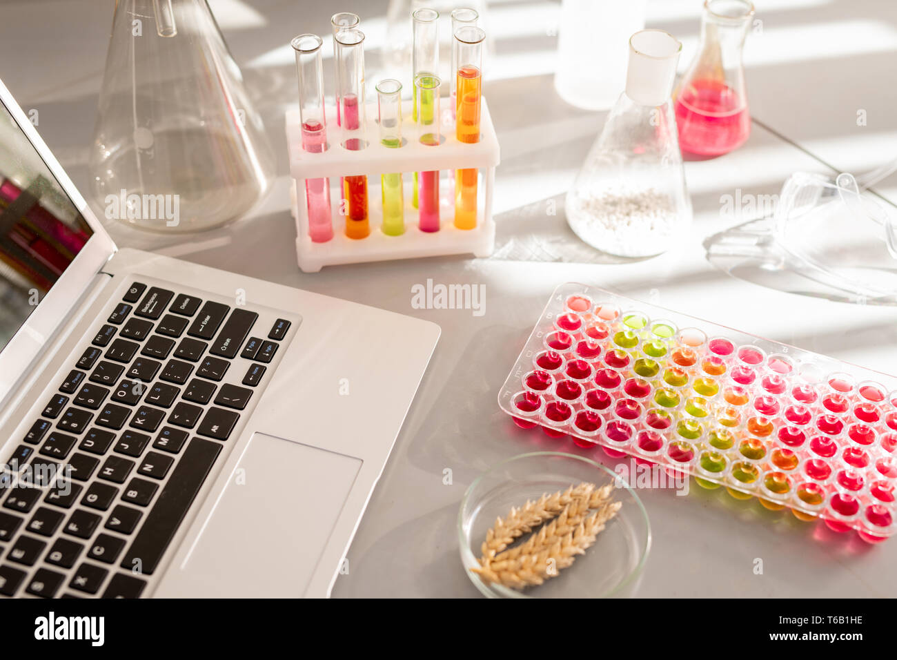 Lavoro in ambiente di laboratorio di ricerca Foto Stock