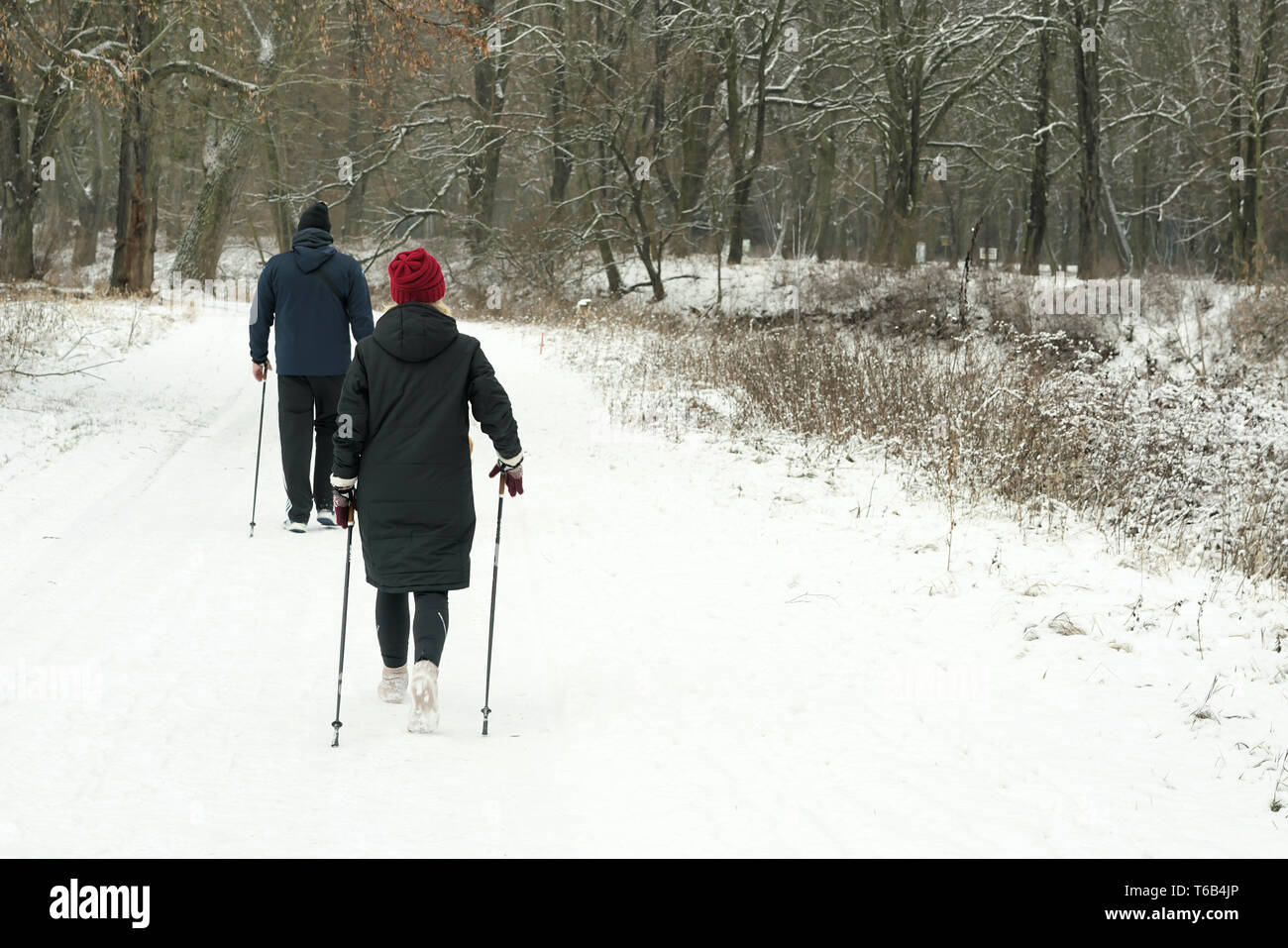 Gli escursionisti nel parco della città di Magdeburgo in inverno Foto Stock