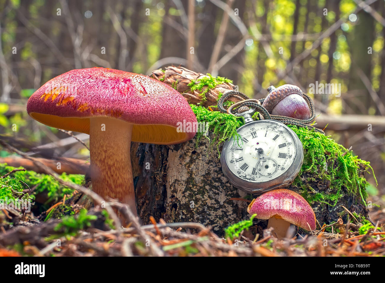 Il passare del tempo Foto Stock