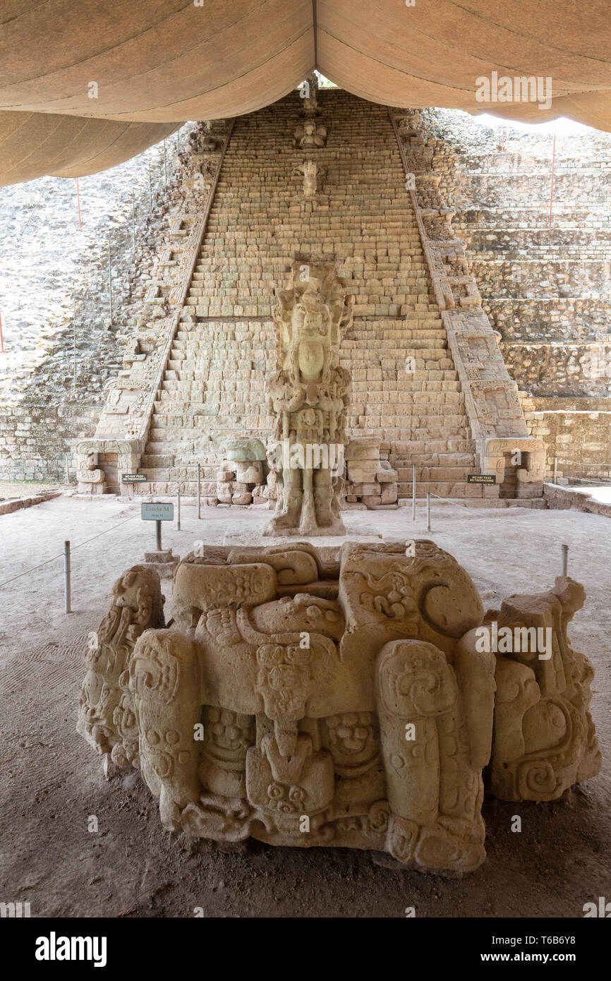 Copan Honduras America Centrale - antichi Maya sito archeologico; pietra intagliata, Stela M e la scala geroglifica, Copan Honduras America Latina Foto Stock