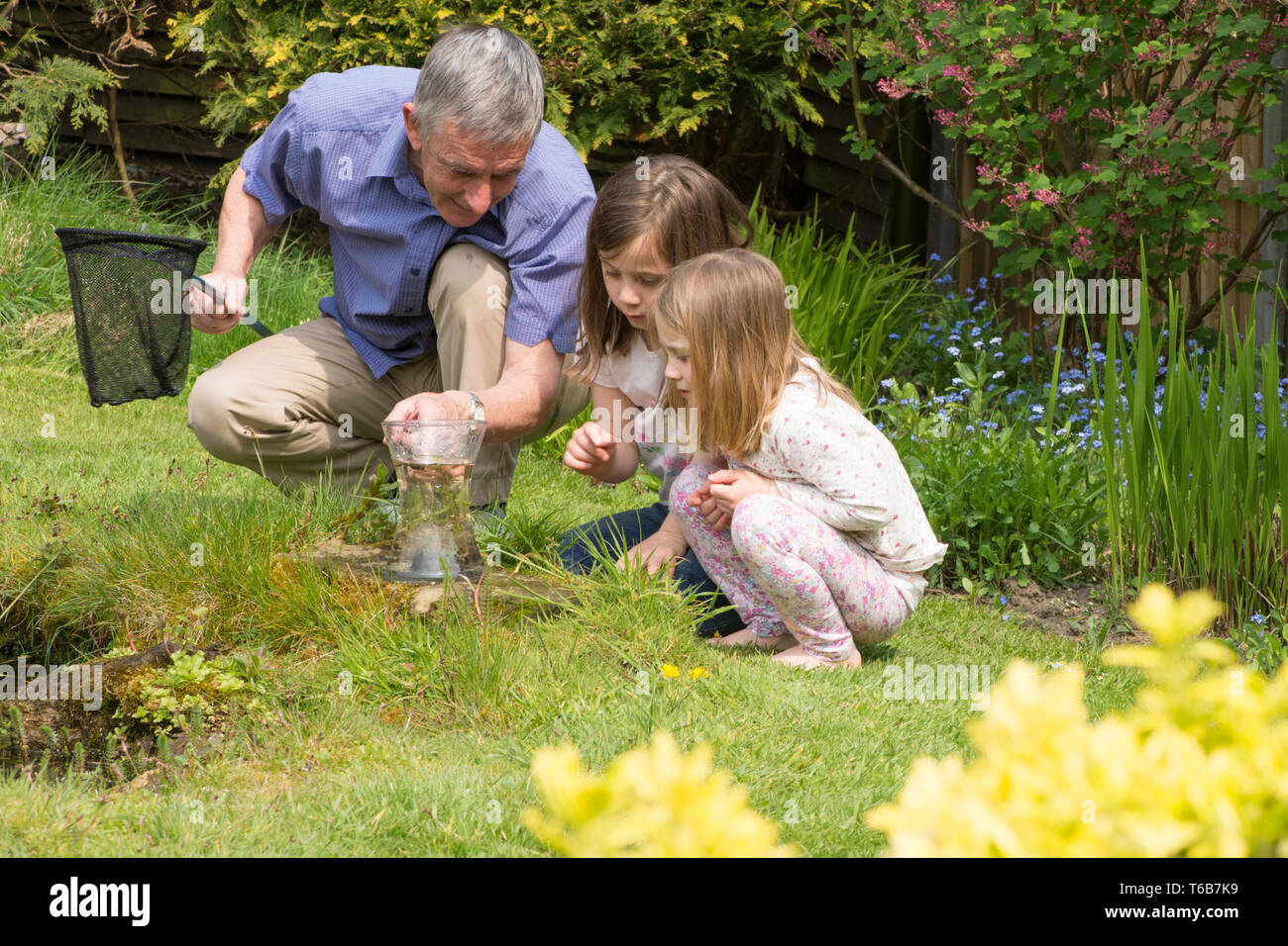 Nonno pond dipping con due nipoti, insegnando loro circa, e mostrando loro, fauna selvatica, giovani ragazze, 3 e 8 anni. net e jar Foto Stock