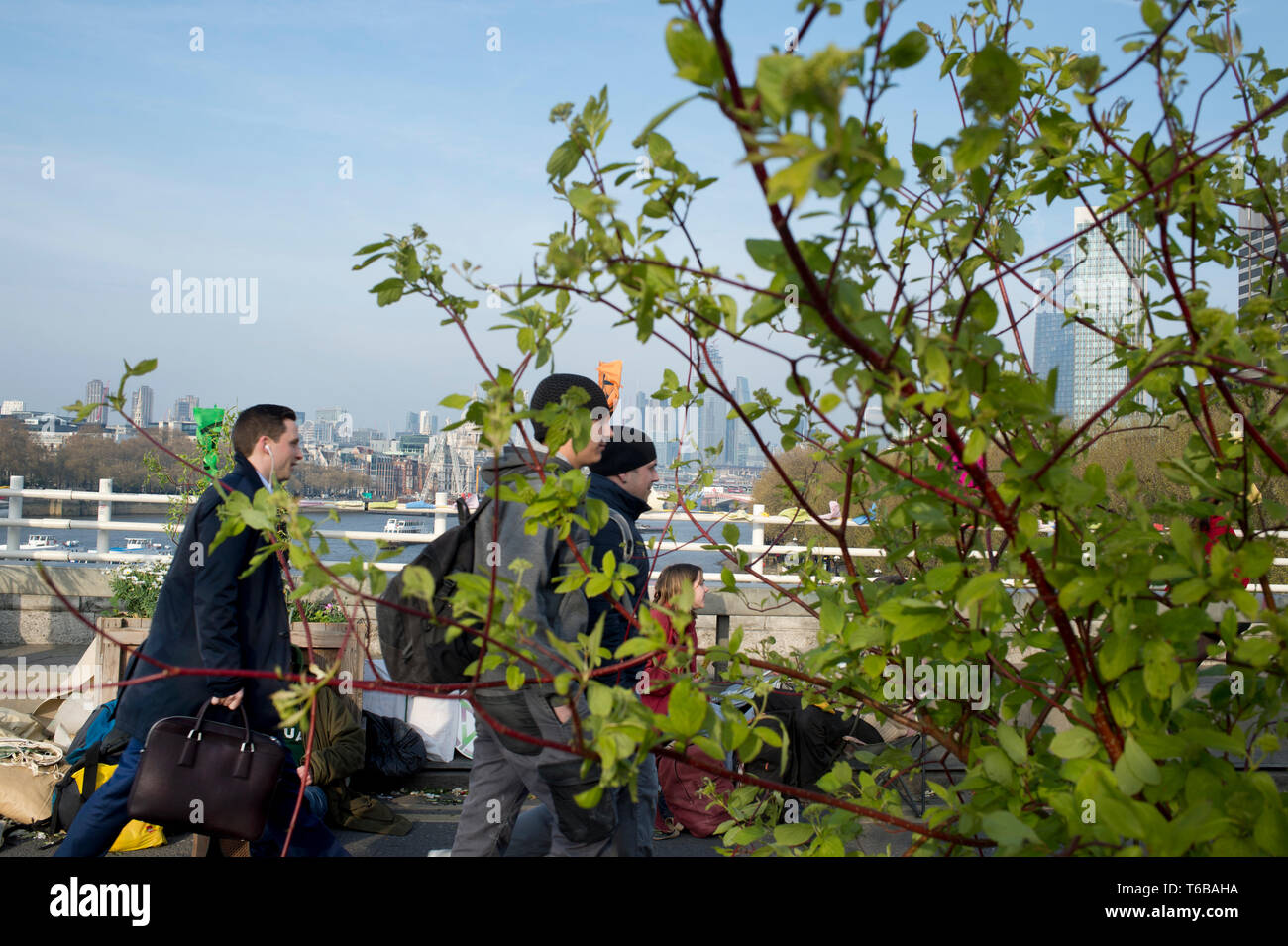 Estinzione della ribellione di protesta, London . Ponte di Waterloo. Pendolari a piedi sopra il ponte chiuso al traffico dalla XR protesta e che ora ha un giardino Foto Stock