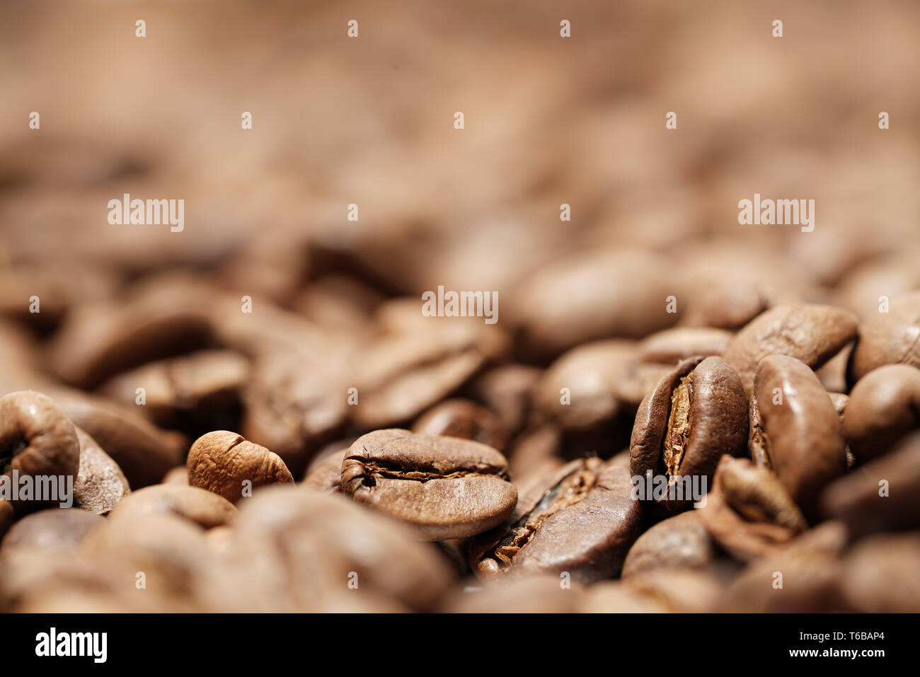 Appena il caffè torrefatto in grani in un impianto di torrefazione di caffè house Foto Stock