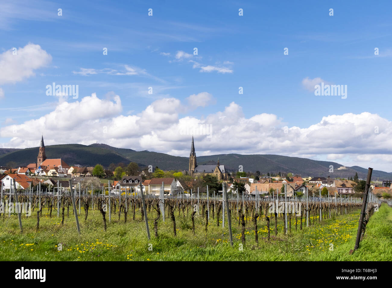Il villaggio del vino Birkweiler Foto Stock