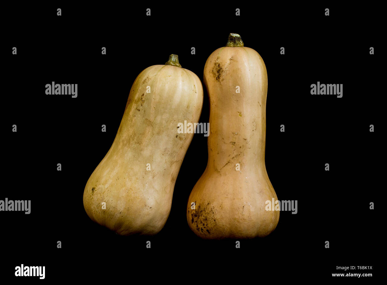 In prossimità dei due Zucca su sfondo nero. Foto Stock
