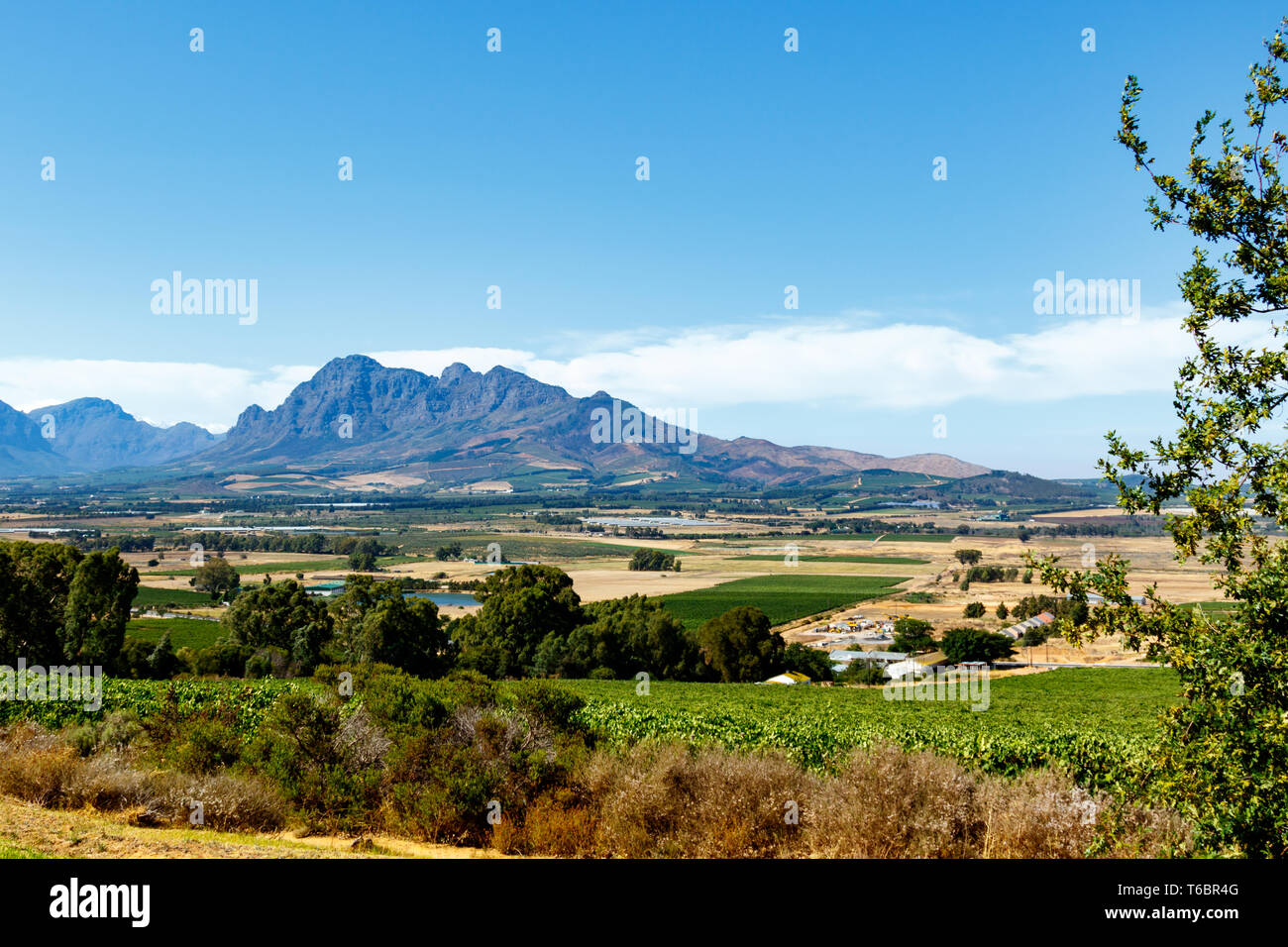 Campo verde paesaggio con le montagne sullo sfondo Foto Stock