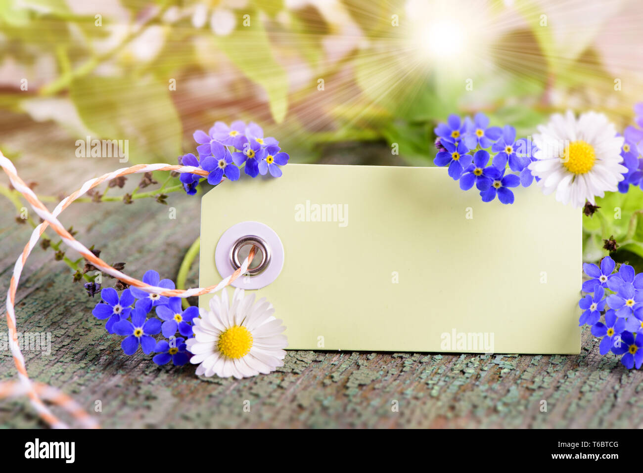 Scheda vuota per la presente con fiori Foto Stock