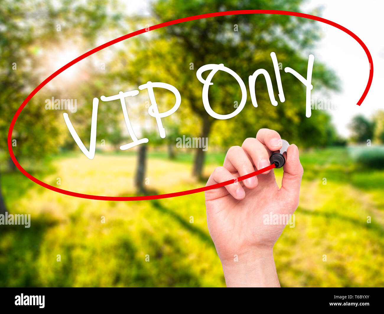 Man mano che scrive solo VIP con pennarello nero su schermo visivo Foto Stock