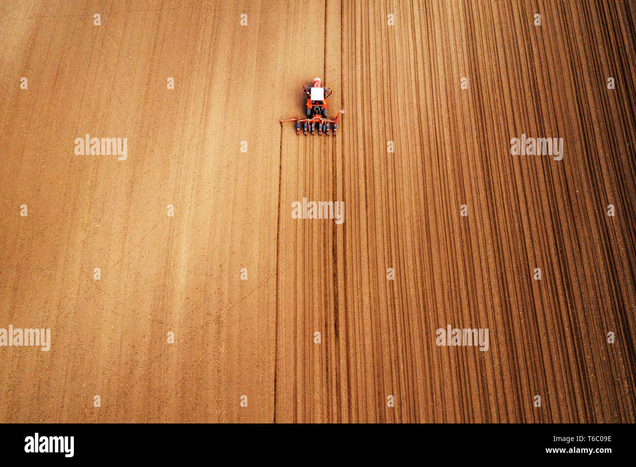Drone fotografia del trattore con una seminatrice a lavorare nel campo dei macchinari agricoli è piantare il seme in fresco terreno arato Foto Stock