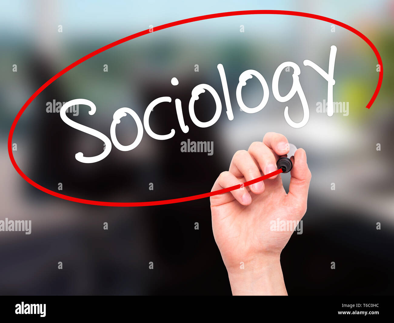 Man mano che scrive la sociologia con pennarello nero su schermo visivo Foto Stock