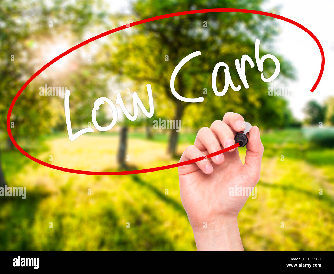 Man mano che scrive il carburatore basso con pennarello nero su schermo visivo Foto Stock
