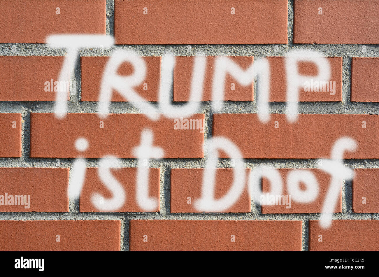 Muro di casa con le parole Trump è stupido Foto Stock